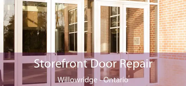 Storefront Door Repair Willowridge - Ontario
