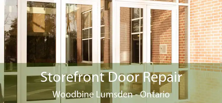 Storefront Door Repair Woodbine Lumsden - Ontario