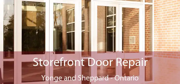 Storefront Door Repair Yonge and Sheppard - Ontario