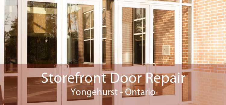 Storefront Door Repair Yongehurst - Ontario