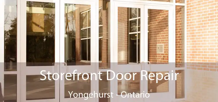 Storefront Door Repair Yongehurst - Ontario