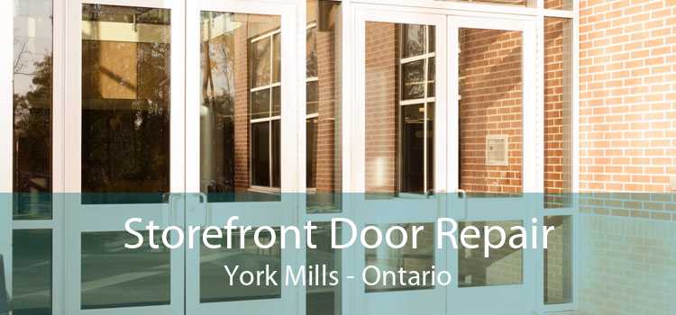 Storefront Door Repair York Mills - Ontario