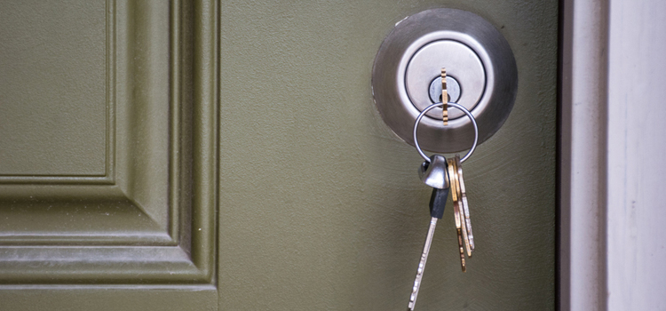 Security Door Knob Replacement in Parkwoods, ON